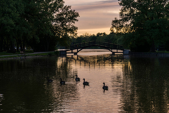 SS_Scenic_0928