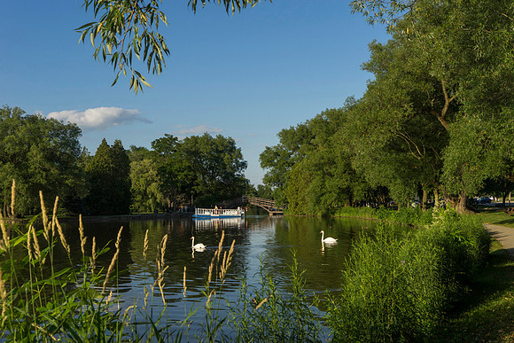 SS_Scenic_0943