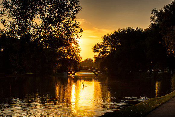 SS_Scenic_100