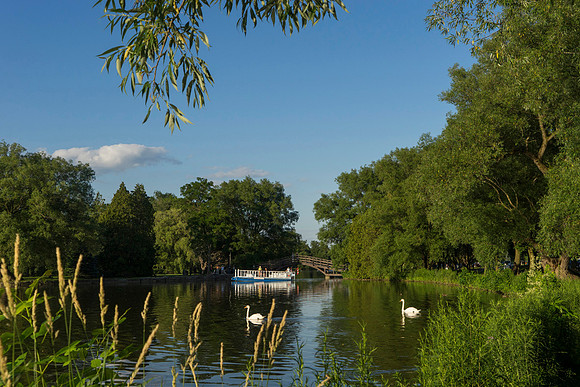 SS_Scenic_0942