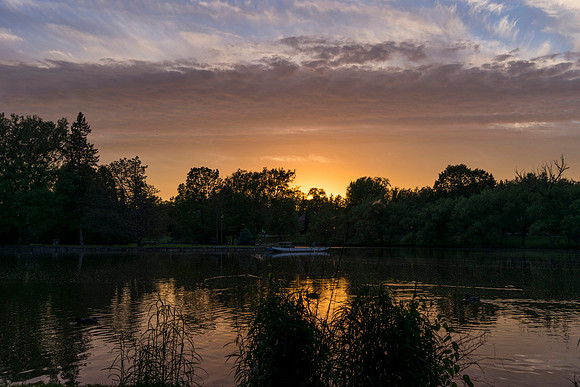 SS_Scenic_0932