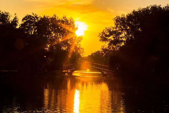 SS_Scenic_101