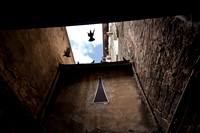 14-Perugia Pigeons