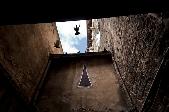 14-Perugia Pigeons