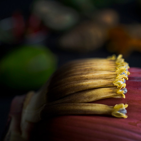 Banana Flower