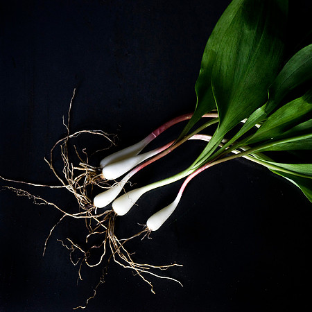 Ramps_30