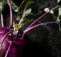 Kohlrabi_09