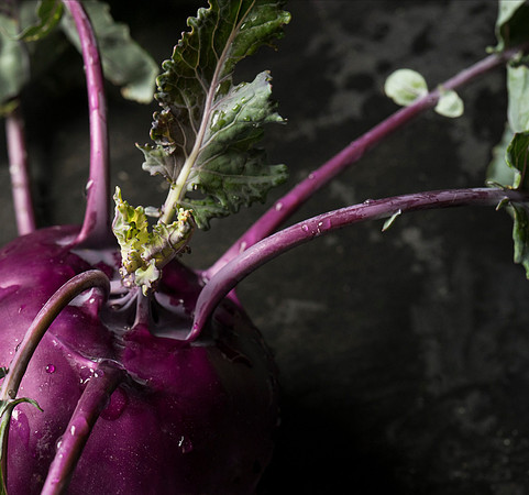 Kohlrabi_09