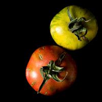 Tomatoes (1)