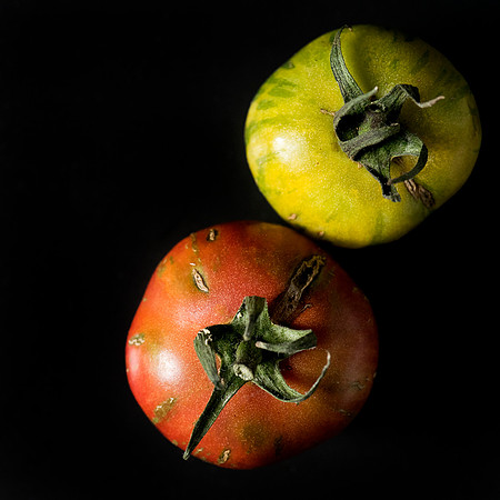 Tomatoes (1)