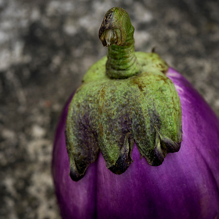 Eggplant