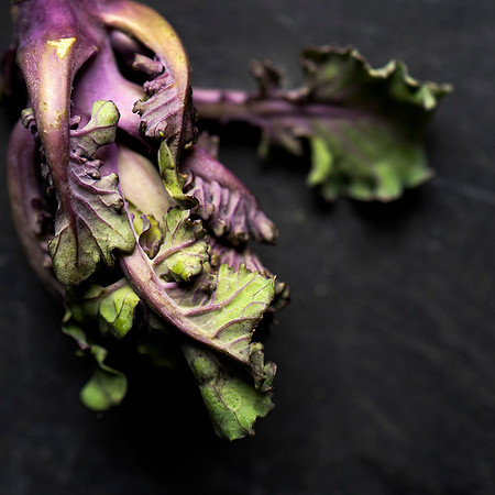 Kale Sprout