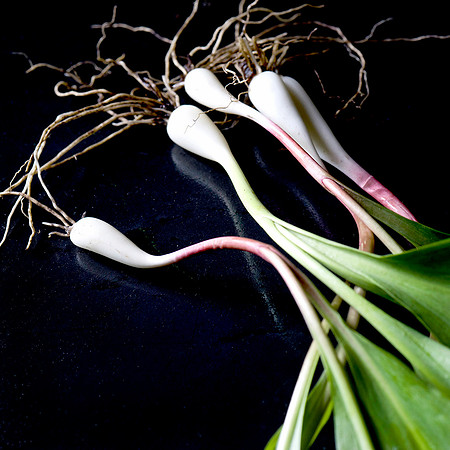 Ramps_32