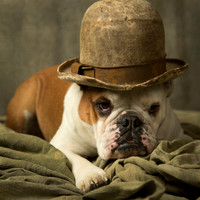 Godot