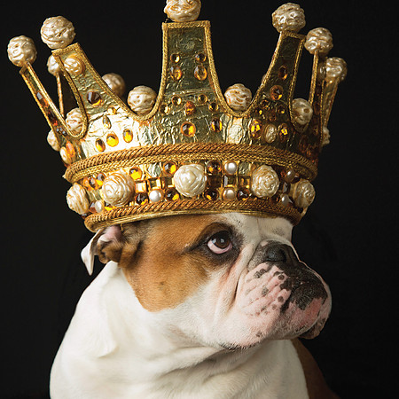 King