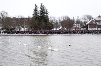 SS_SwanParade_0917