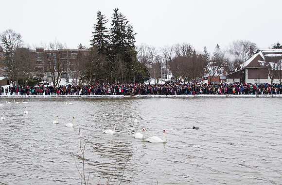 SS_SwanParade_0917