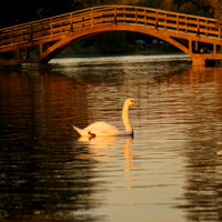 STA_365_2594 (1)