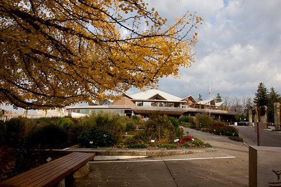 STA_Fall_001