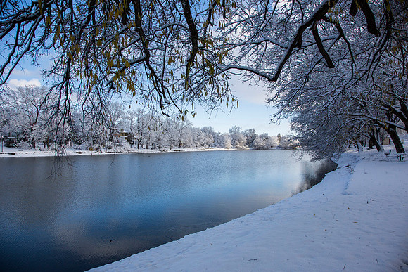 SS_Scenic_265
