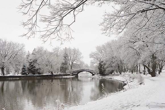 SS_Scenic_324