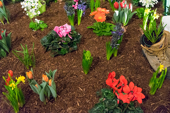 SS_Garden Festival_661