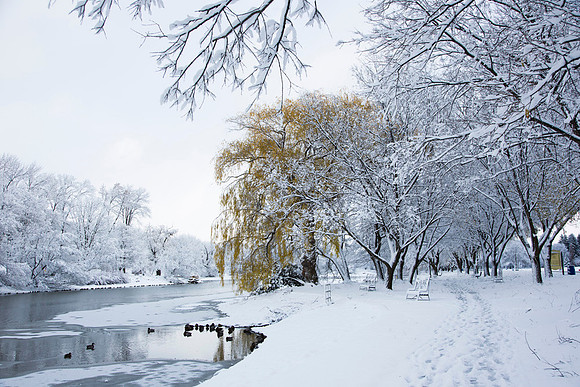 SS_Scenic_294