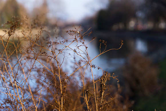 SS_Scenic_400