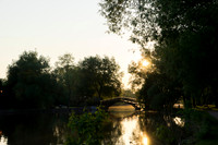 SS_Scenic_376