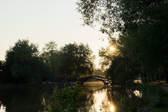 SS_Scenic_376