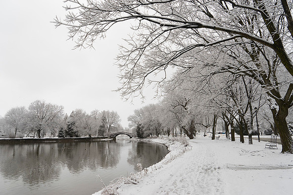 SS_Scenic_325