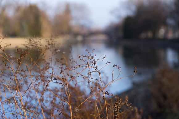 SS_Scenic_401