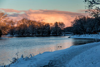 STA_365_5861