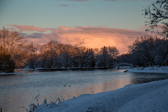 SS_Scenic_321