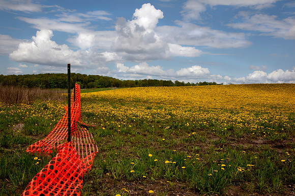 Field Under Construction