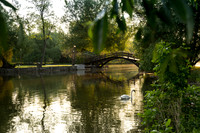 SS_Scenic_386