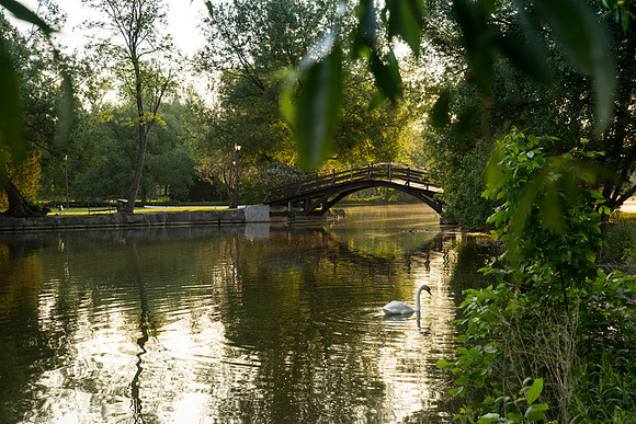 SS_Scenic_386