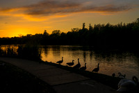 STA_365_2863