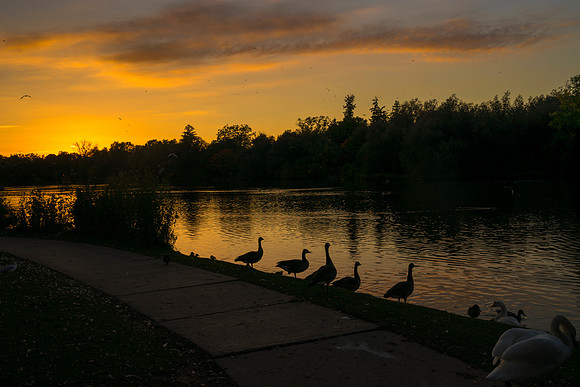 STA_365_2863