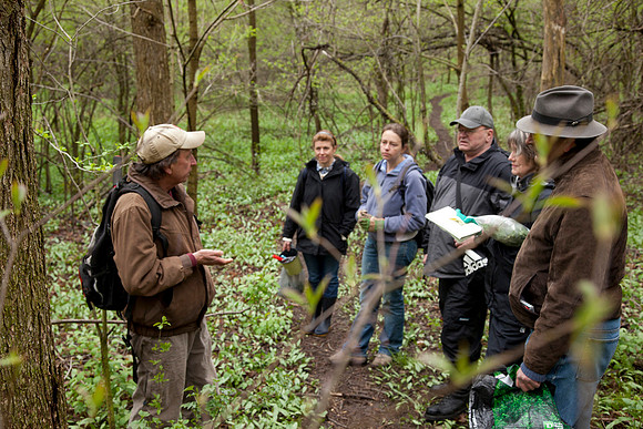 STA_Foraging_067