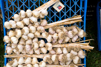 SS_Garlic Festival_683