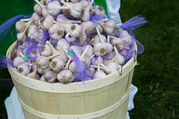 SS_Garlic Festival_710