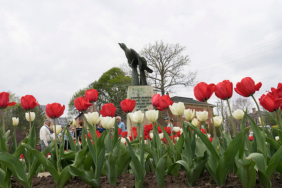 SS_Tour_813