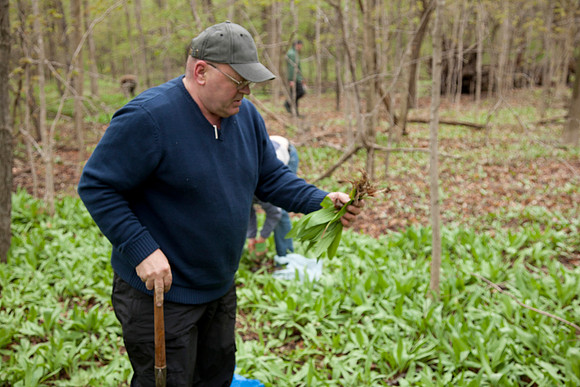 STA_Foraging_166