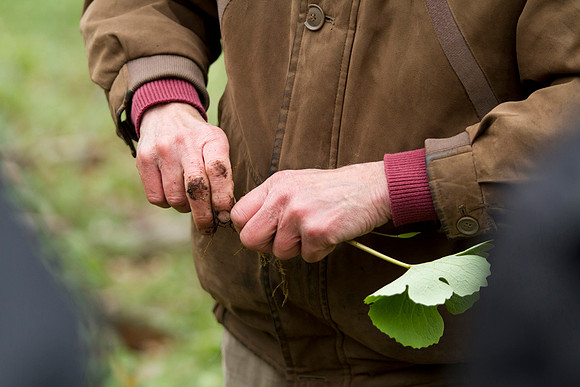STA_Foraging_206