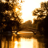 STA_365_1736