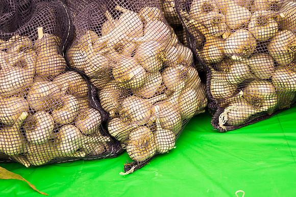 SS_Garlic Festival_713