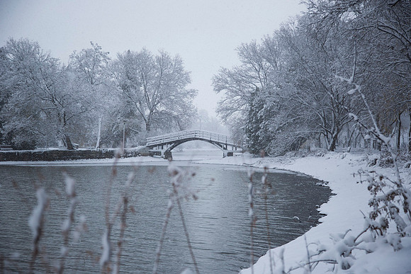 SS_Scenic_283
