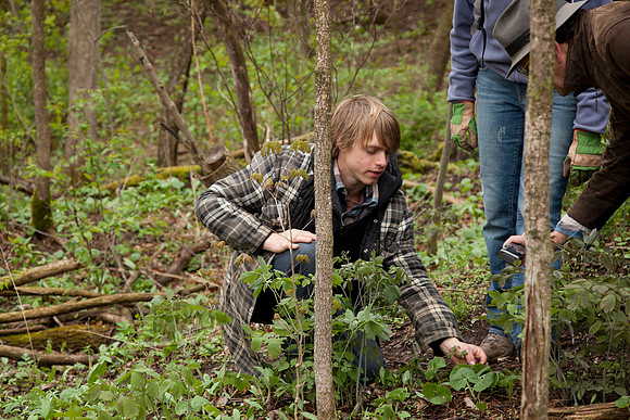 STA_Foraging_082