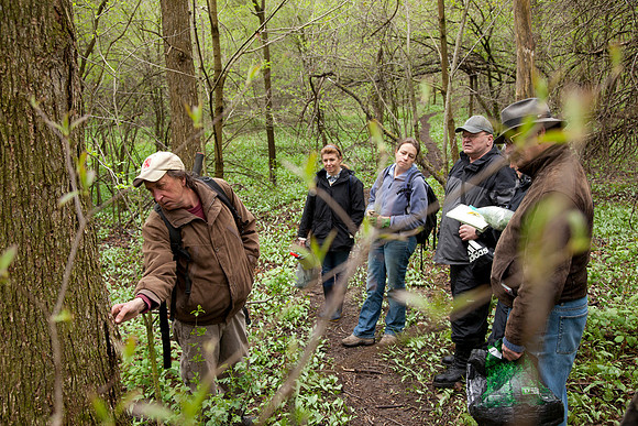 STA_Foraging_071
